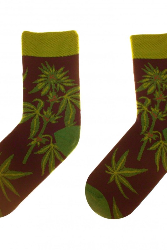 Obrázkové ponožky 80 Funny herbs - Skarpol - Doplňky ponožky