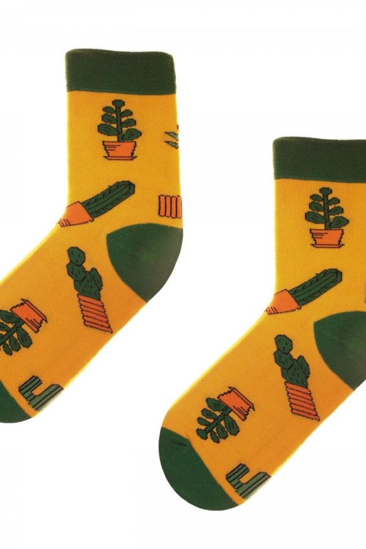 Obrázkové ponožky 80 Funny cactus - Skarpol - Doplňky ponožky