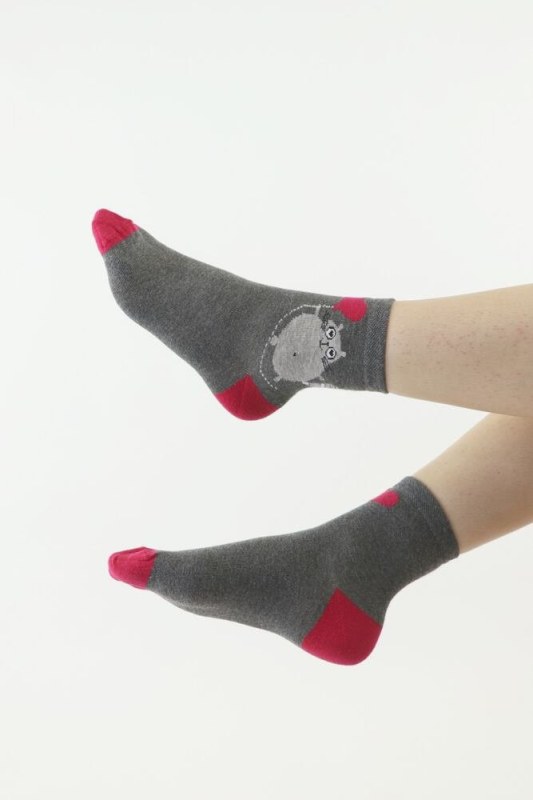 Dámské ponožky 113 šedé s model 18637900 - Moraj - Doplňky čepice, rukavice a šály