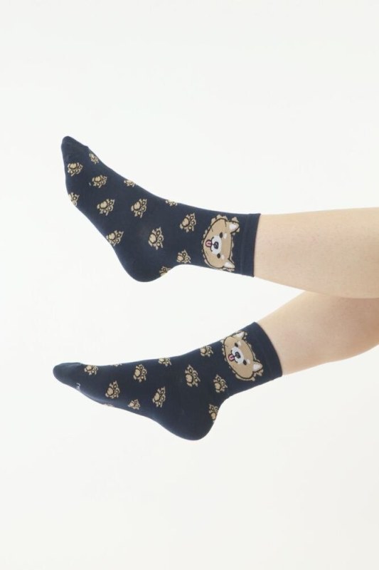 Veselé ponožky modré s model 18336569 - Moraj - Doplňky čepice, rukavice a šály