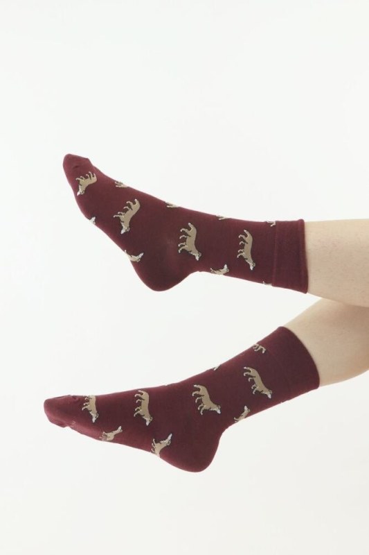 Veselé ponožky 17 vínové se psy - Doplňky čepice, rukavice a šály