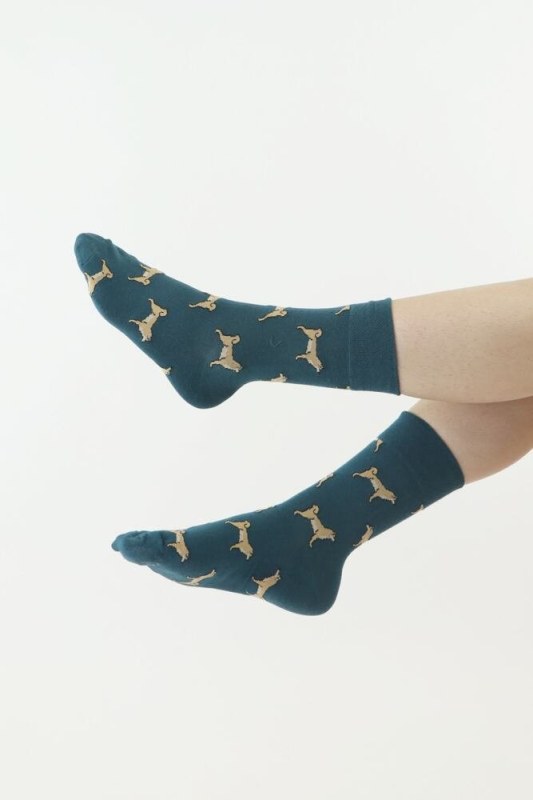 Veselé ponožky 17 zelené se psy - Doplňky čepice, rukavice a šály
