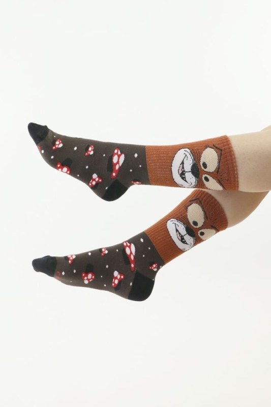 Veselé ponožky model 18399881 hnědé - Moraj - čepice, rukavice a šály