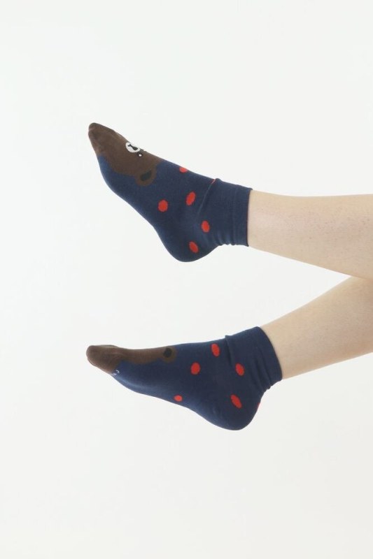 ponožky Bear modré s puntíky model 18399907 - Moraj - Doplňky čepice, rukavice a šály