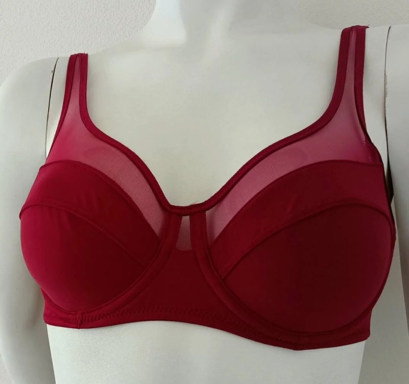 Dámská podprsenka model 21154019 GENEROUS CLASSIC - DIM